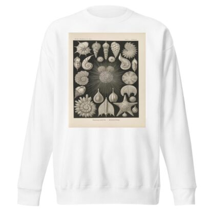 Thalamophora. – Kammerlinge. by Ernst Haeckel Sweatshirt