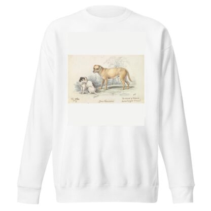 The Alco; Young, Carrier Dog of the Indians by Charles Hamilton Smith Sweatshirt