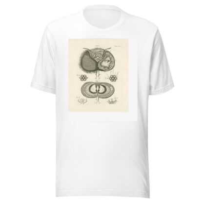 The book of nature, or, The history of insects Pl.20 by Jan Swammerdam T-Shirt