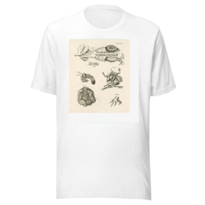 The book of nature, or, The history of insects Pl.47 by Jan Swammerdam T-Shirt