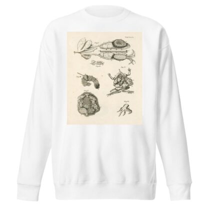 The book of nature, or, The history of insects Pl.47 by Jan Swammerdam Sweatshirt