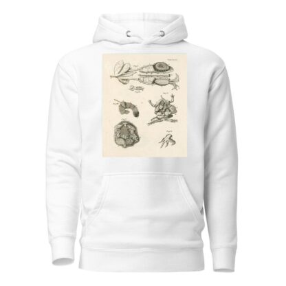 The book of nature, or, The history of insects Pl.47 by Jan Swammerdam Hoodie