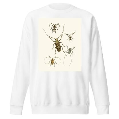 The cabinet of oriental entomology Pl VI by John Obadiah Westwood Sweatshirt
