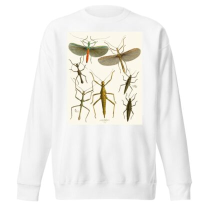 The cabinet of oriental entomology Pl XXXIX by John Obadiah Westwood Sweatshirt