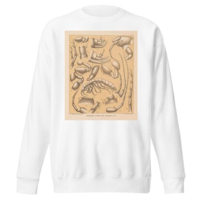 The cave fauna of North America Pl 05 by Alpheus Spring Packard Sweatshirt