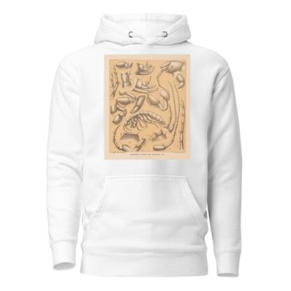 The cave fauna of North America Pl 05 by Alpheus Spring Packard Hoodie