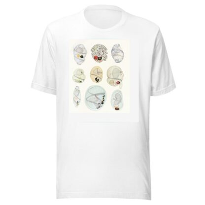 The free-living unarmored dinoflagellata pl 11 by Charles Atwood Kofoid T-Shirt