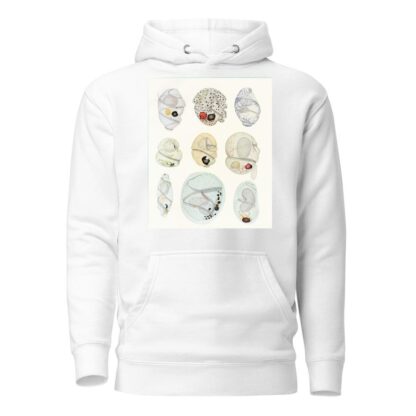 The free-living unarmored dinoflagellata pl 11 by Charles Atwood Kofoid Hoodie