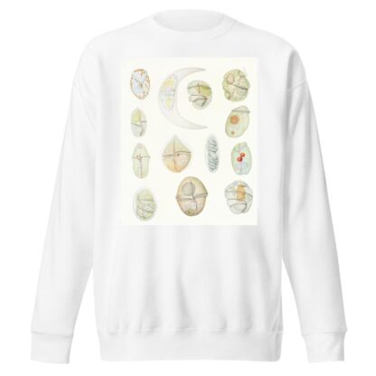 The free-living unarmored dinoflagellata pl 2 by Charles Atwood Kofoid Sweatshirt
