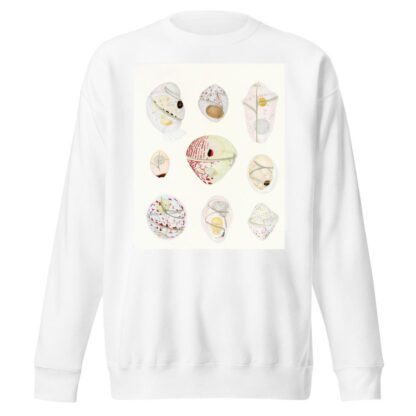 The free-living unarmored dinoflagellata pl 6 by Charles Atwood Kofoid Sweatshirt