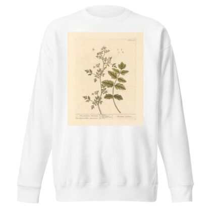 The German amomum by Elizabeth Blackwell Sweatshirt