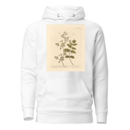 The German amomum by Elizabeth Blackwell Hoodie