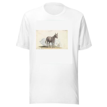 The Hinny by Charles Hamilton Smith T-Shirt