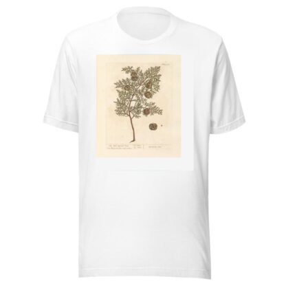 The male cypress tree by Elizabeth Blackwell T-Shirt