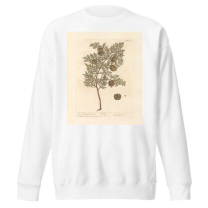 The male cypress tree by Elizabeth Blackwell Sweatshirt