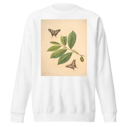 The natural history of the rarer lepidopterous insects of Georgia Pl.004 by James Edward Smith Sweatshirt