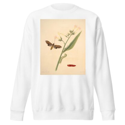 The natural history of the rarer lepidopterous insects of Georgia Pl.033 by James Edward Smith Sweatshirt