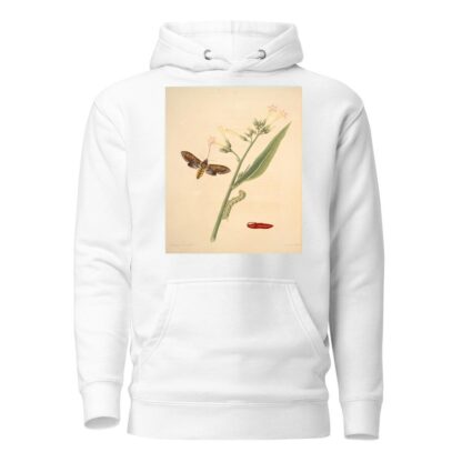 The natural history of the rarer lepidopterous insects of Georgia Pl.033 by James Edward Smith Hoodie