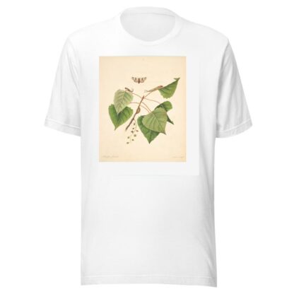 The natural history of the rarer lepidopterous insects of Georgia Pl.071 by James Edward Smith T-Shirt