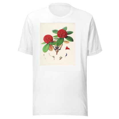 The Rhododendrons of Sikkim-Himalaya Pl.25 by Walter Hood Fitch T-Shirt