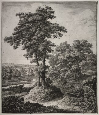 The Unfaithful Prophet of Judah by Antonie Waterloo