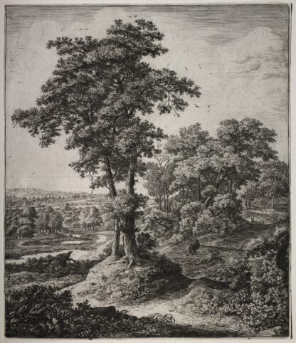 The Unfaithful Prophet of Judah by Antonie Waterloo