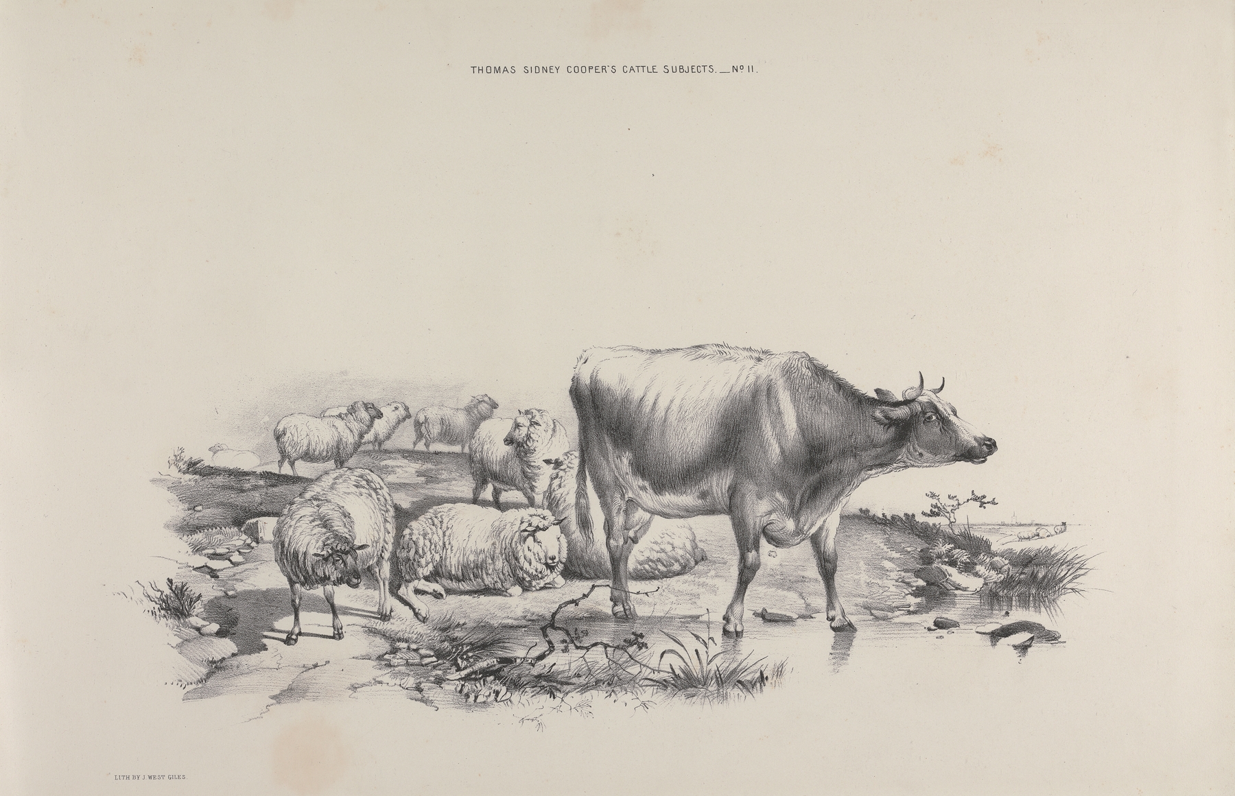 Thomas Sydney Cooper’s cattle subjects Pl.11 by Thomas Sidney Cooper