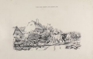 Thomas Sydney Cooper’s cattle subjects Pl.25 by Thomas Sidney Cooper