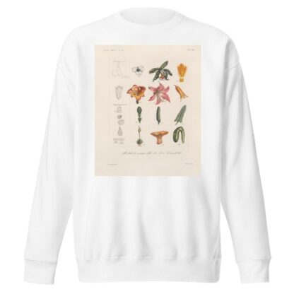 Traité de botanique générale Pl.097 by François Hérincq Sweatshirt