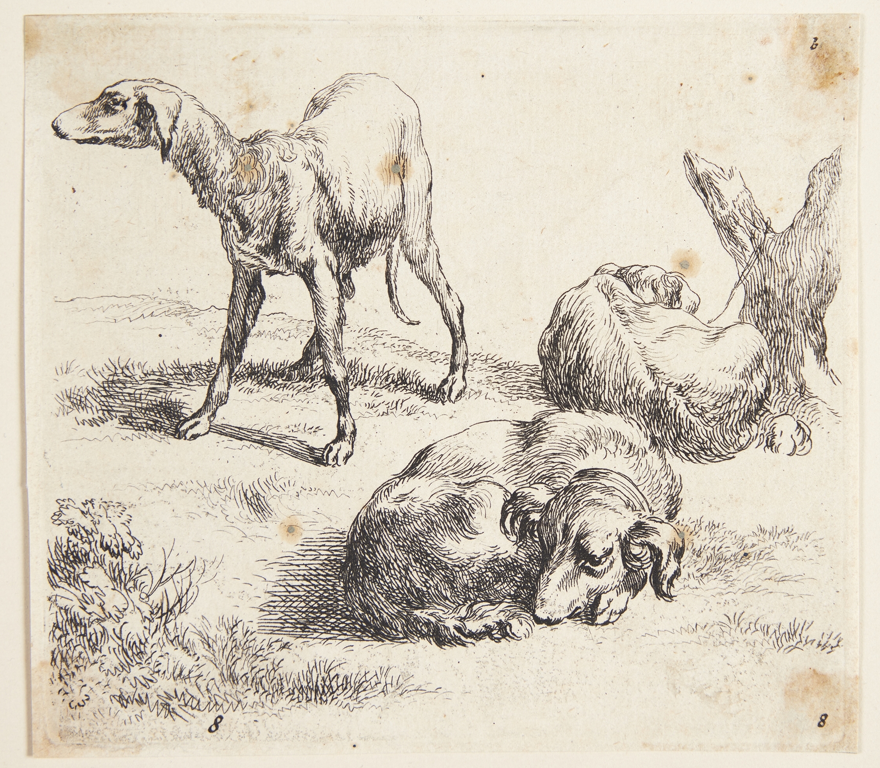 Tre jagthunde by Nicolaes Pietersz. Berchem