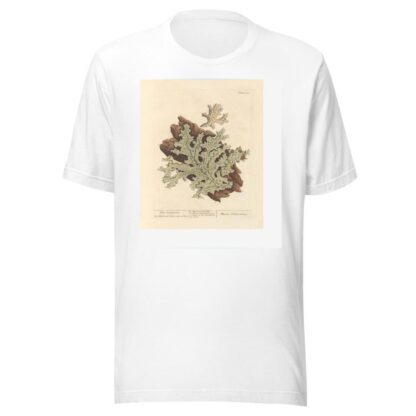 Tree lungwort by Elizabeth Blackwell T-Shirt