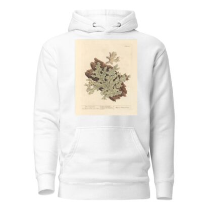 Tree lungwort by Elizabeth Blackwell Hoodie