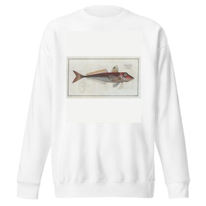 Trigla Cuculus, The Red Gurnard. by Marcus Elieser Bloch Sweatshirt