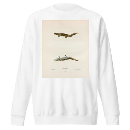 Triton tigrinus by John Edwards Holbrook Sweatshirt