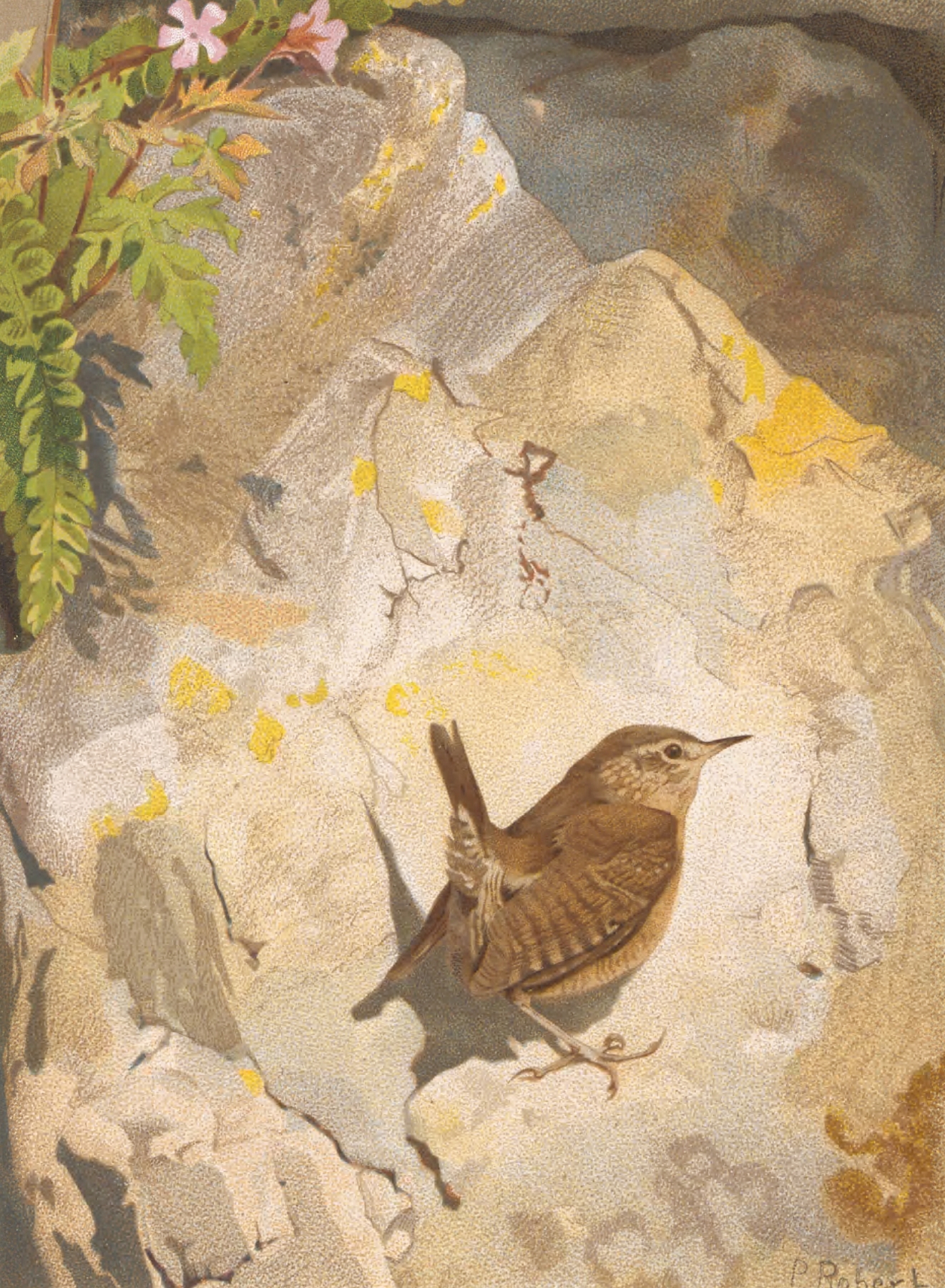 Troglodyte by Léo-Paul Robert