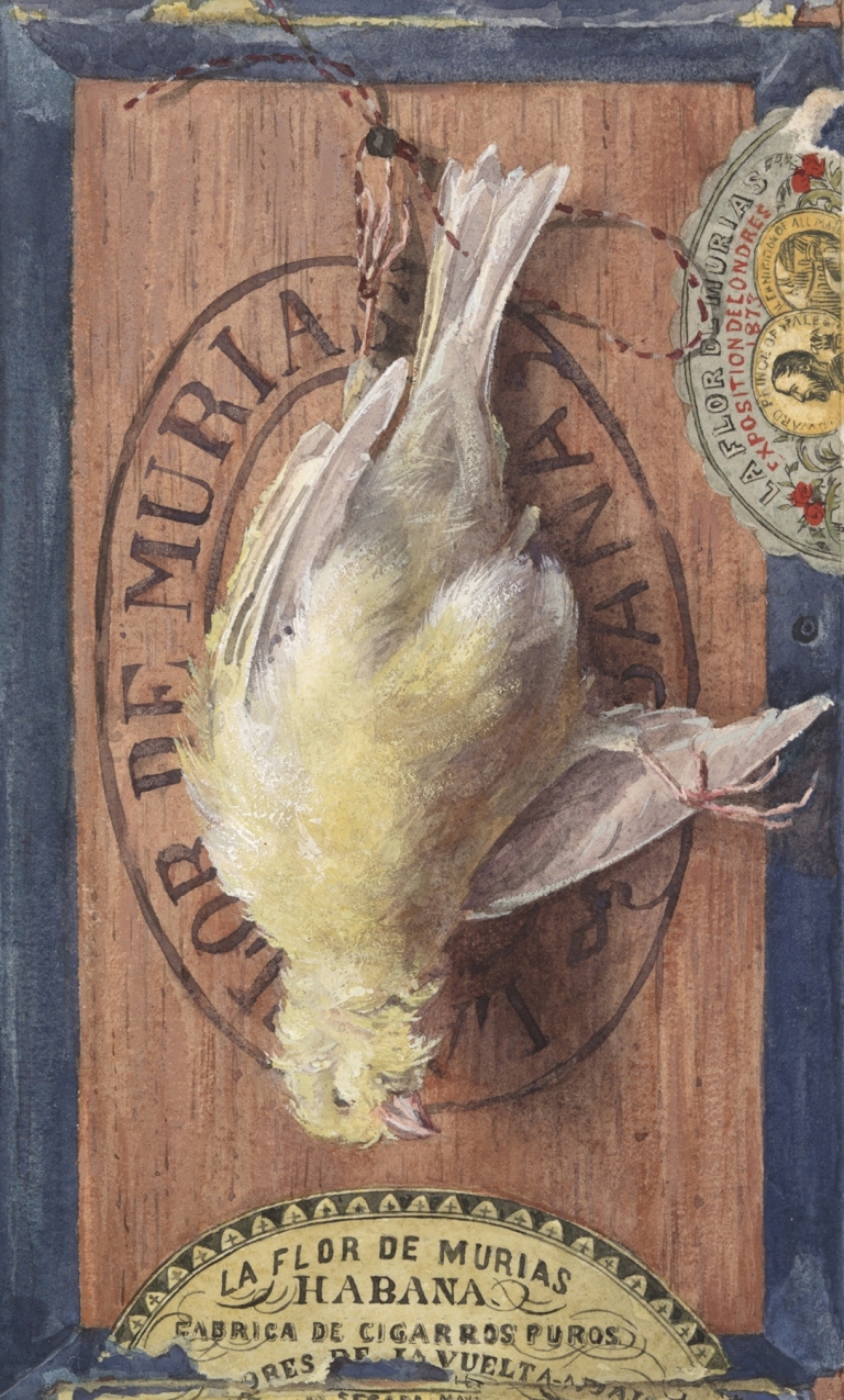 Trompe L’Oeil; Yellow Canary by John Haberle
