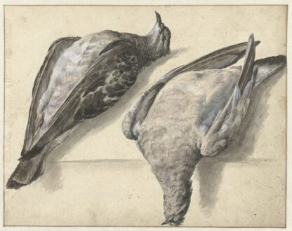 Twee dode duiven by Rochus van Veen