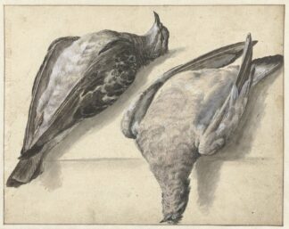 Twee dode duiven by Rochus van Veen
