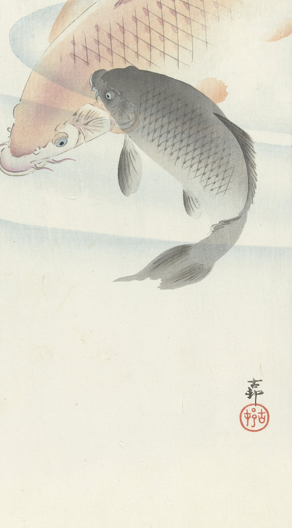 Two Carps by Ohara Koson