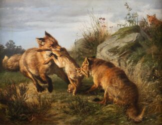Two foxes fighting for their prey by Carl Friedrich Deiker