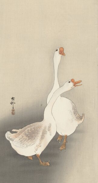 Two geese. by Ohara Koson
