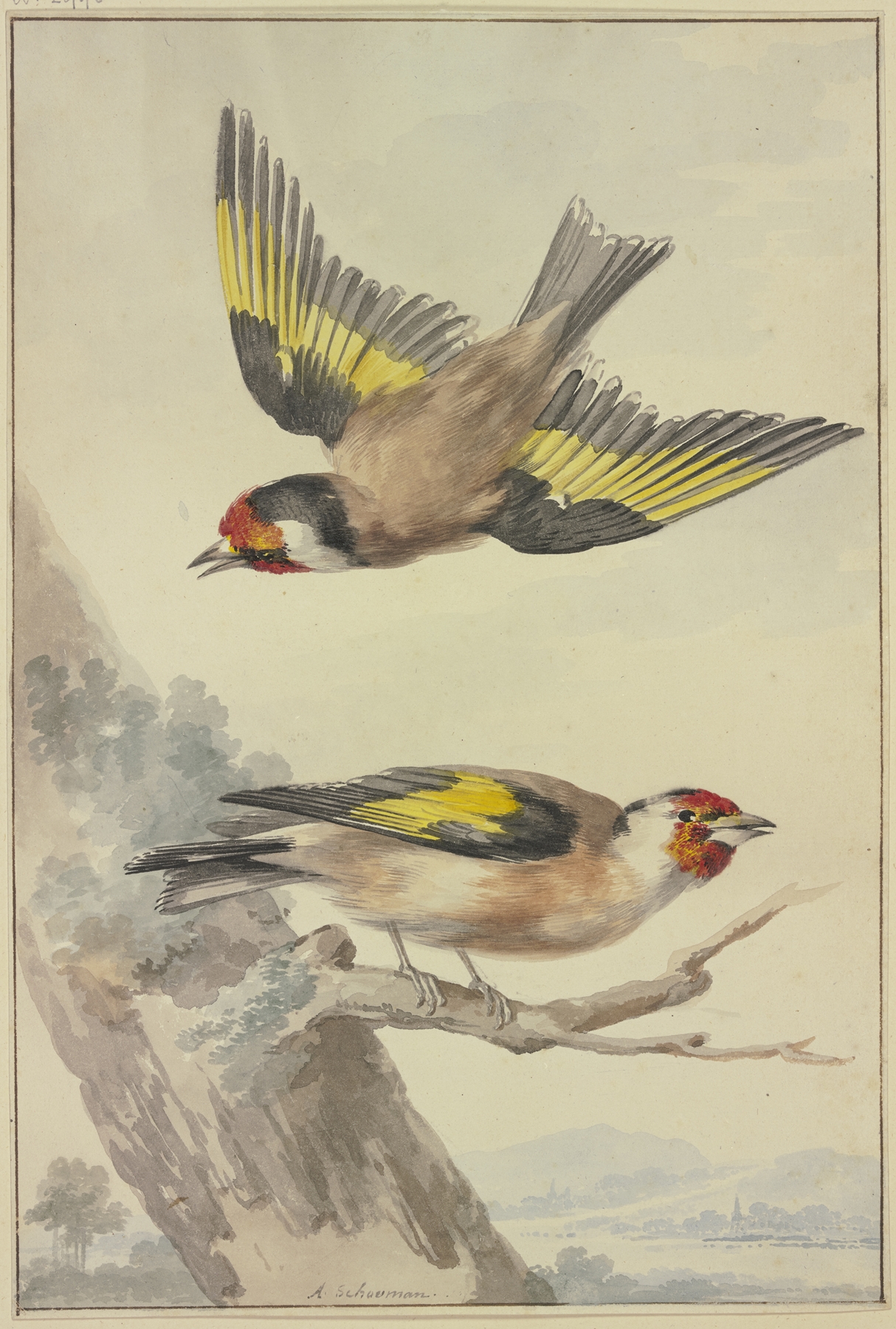 Two goldfinches by Aert Schouman