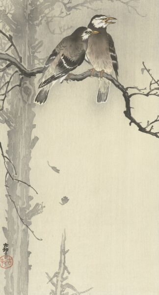 Two gray starlings by Ohara Koson