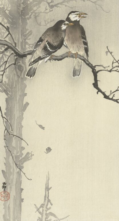Two gray starlings by Ohara Koson