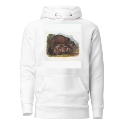 Ursus ferox, Grizzly Bear. Males. by John Woodhouse Audubon Hoodie