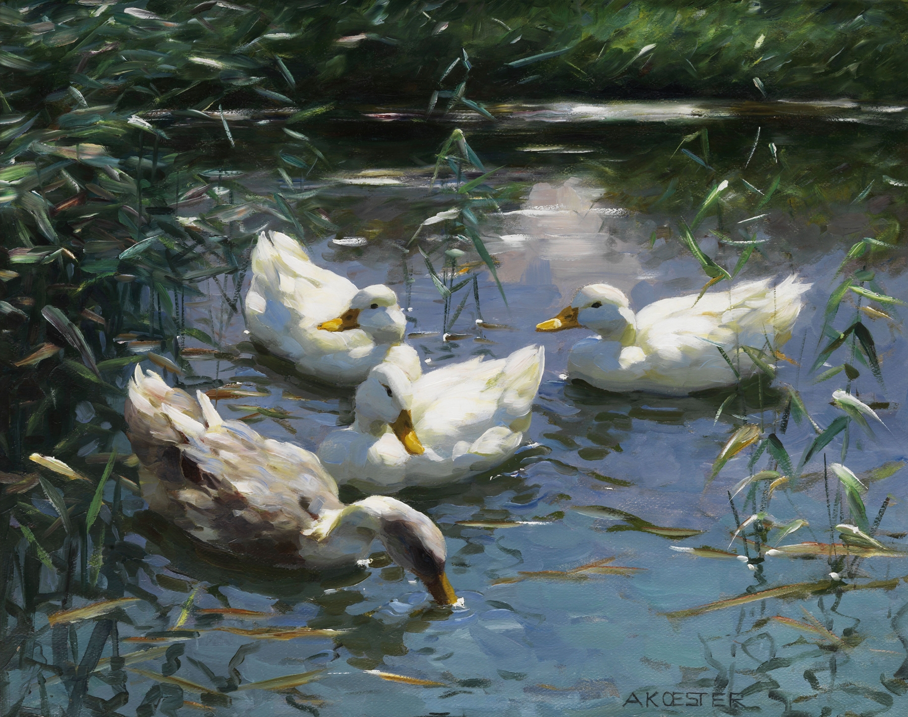 Vier Enten im Teich by Alexander Koester