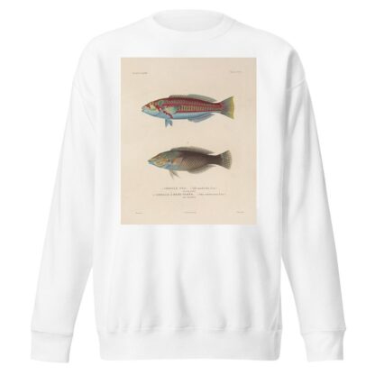 Voyage autour du monde Pl.042 by Louis-Isidore Duperrey Sweatshirt