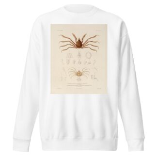 Voyage autour du monde Pl.063 by Louis-Isidore Duperrey Sweatshirt