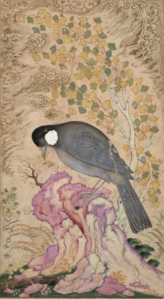 White-Eared Bulbul Perched on a Pink Rock by Mu’in Musavvir