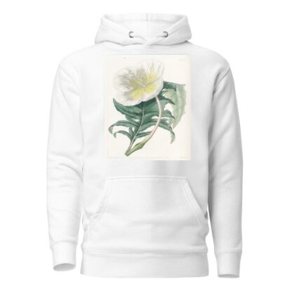 White Upright Evening Primrose by Sydenham Edwards Hoodie